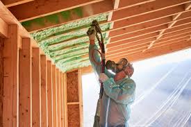 Eco-Friendly or Green Insulation Solutions in Desoto, TX